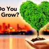 heart-tree-hand-1200px